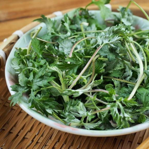 한국에선 아무데서나 '쑥쑥' 자라는 흔한 풀인데…중국·일본에선 '귀한 몸'