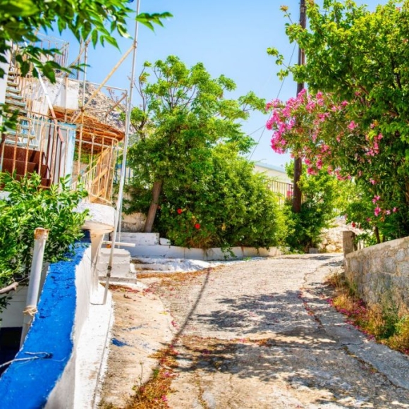 "말기 '폐암'이 사라졌다"…그 섬에 갔더니