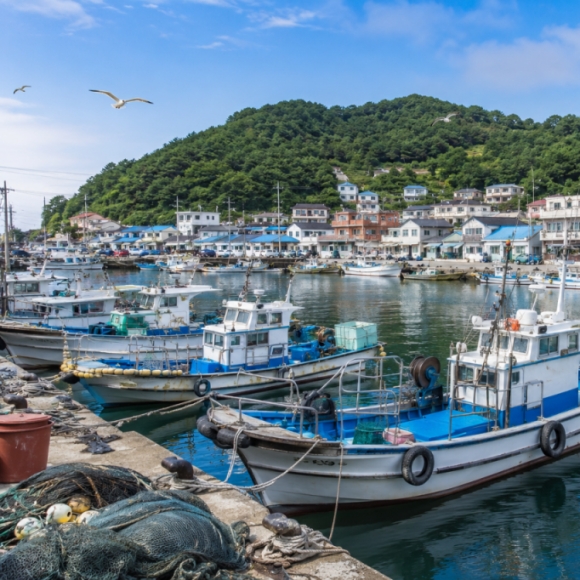 From Pest to Product: Blue Crab Exports Bring 30 Billion Won Windfall