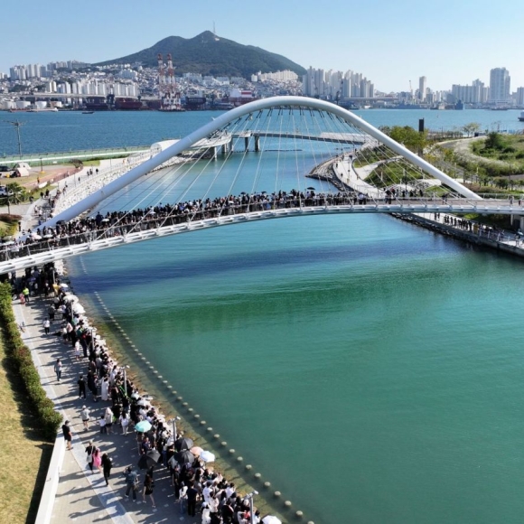 공원 산책로에 나타난 상어, 왜 여기까지 왔을까