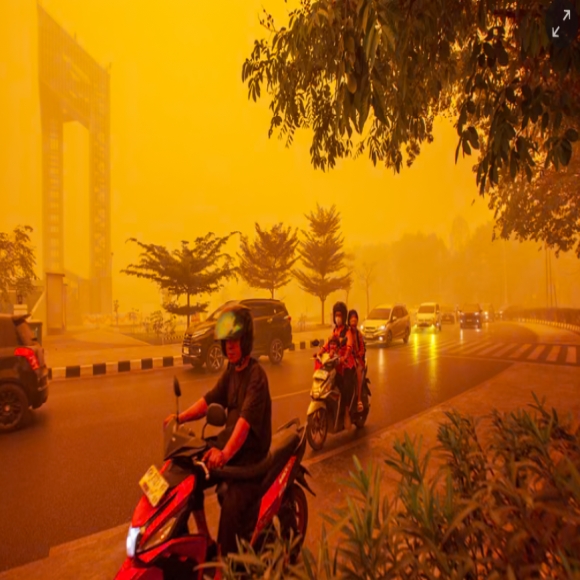 Orange Skies, Hard to Breathe... Flames Devour Forests 15 Times the Size of Seoul