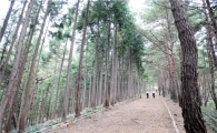 [주말여행] 화순 모후산 생태파크, 명품숲을 거닐다