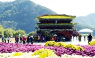 [주말여행] 국화향기 타고 함평으로 출발!