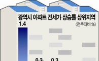 광주·전남 아파트 '나홀로 상승세'