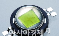 서울반도체 아크리치, 국립중앙박물관 밝힌다