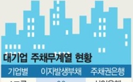 "대기업 13곳 구조조정 요주의"