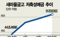 '고금리' 새마을금고·신협...한달새 예금 3조 유입