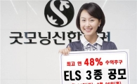 굿모닝신한證, 연 48% 수익추구 ELS 3종 공모