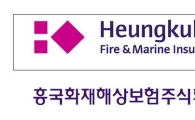 흥국쌍용 "흥국화재로 새롭게 태어나요"