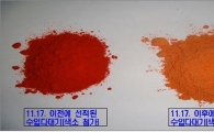 관세청, 고추 다대기 편법·불법수입 근절
