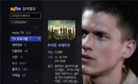 "헬로TV 보며 정보도 쉽게 검색"…다음 'TV검색'