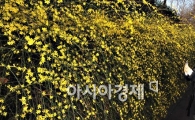 [포토] "봄 향기에 취하겠네"