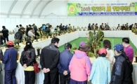 [포토뉴스] 2009 함평 명품 춘란 축제