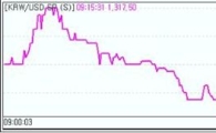 'G20경기부양 카드 통했다'..원·달러 1300선 위협