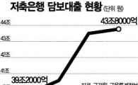 2금융권도 주택담보대출 늘린다