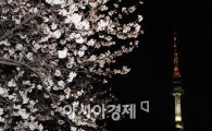 [포토] 불 밝힌 남산벚꽃축제!