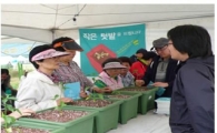 은평구, 집안 텃밭가꾸기 희망자 모집