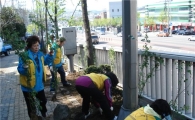 금천폭포공원 주변 장미 꽃길 조성