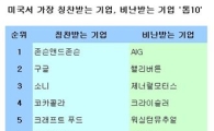 美 어글리 기업 1위는 "AIG"