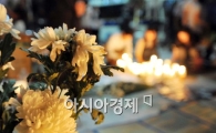 [포토] 추모열기에 잠못드는 국화