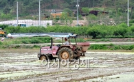 [포토] 봉하마을 "그래도 농사는 계속된다"