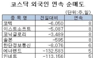 [표] 외국인 에너랜드 5거래일째 순매도