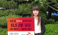 SK證, 최고 연 20.01% 추구 ELS 2종 공모