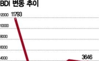 '널뛰는 BDI' 해운업계 덜미