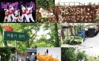 성북동 비둘기의 귀환...월월(Wall月)축제 2009