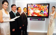 LG전자, 내년 LED TV 판매 목표 '500만대'