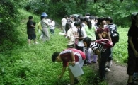 인왕산,삼청공원 등 자연생태 교실 운영