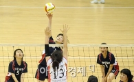 [포토]'내가 더 빨랐어!'