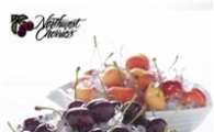 美 북서부 체리 국내 출시