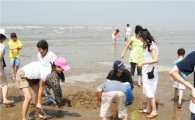 [눈을 떠봐 숨은 보석이 보여]③안면도 몽산포 해변 갯벌 체험