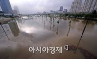 [포토] 물 폭탄 맞은 한강 샛강 생태공원