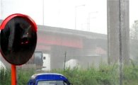175mm '물폭탄' 맞은 서울… 도로·시설 등 통제