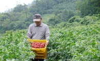 "유기농 채소 직거래 부가가치 창출"