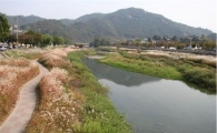 [4대강]생태하천 조성...동식물 서식공간 확보 어떻게?