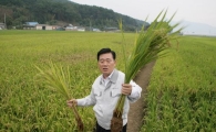 “비료·농약 없어도 벼가 쑥쑥”
