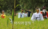 [포토] '서울에도 허수아비가 있네~'