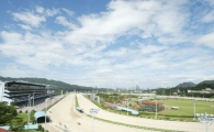 '황금알'제 4 경마장 유치전 후끈
