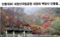 이안상조, 부모님 효도관광 상품 