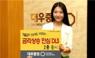 대우증권, ‘금리상승 안심 DLS’ 2종 출시
