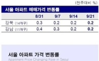 '재건축도 주춤' 관망하는 매수자와 '속타는 매도자'