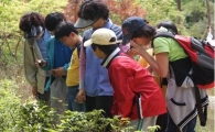 은평구, 자연으로 떠나는 숲속 여행 '인기'