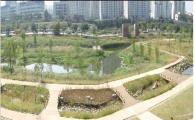 "여의도샛강 생태공원 보러오세요"
