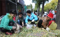 성북구, 은행 줍기 행사 가져  
