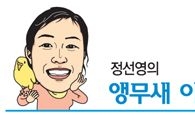 [마니아]'눈먼새' 깨돌이가 사는 법