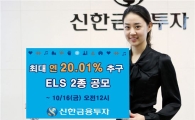 신한투자, 최대 연 20.01% 추구  ELS 2종 공모