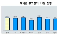 한국방송광고公 "광고 시장 3개월째 상승세"